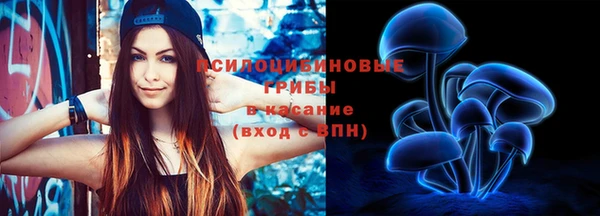 амф Медногорск