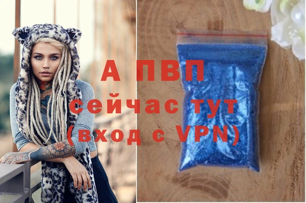 эйфоретик Майский