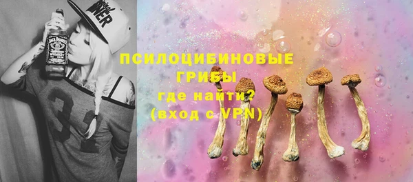 эйфоретик Майский