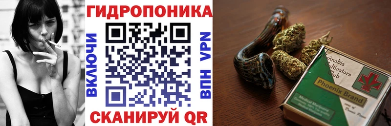 Канабис THC 21%  Шенкурск 